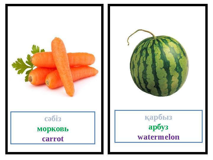 сәбіз морковь carrot қарбыз арбуз watermelon