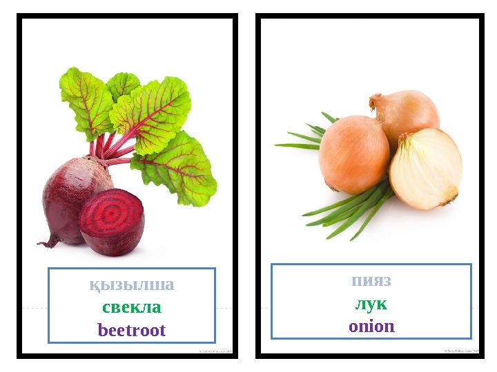 қызылша свекла beetroot пияз лук onion