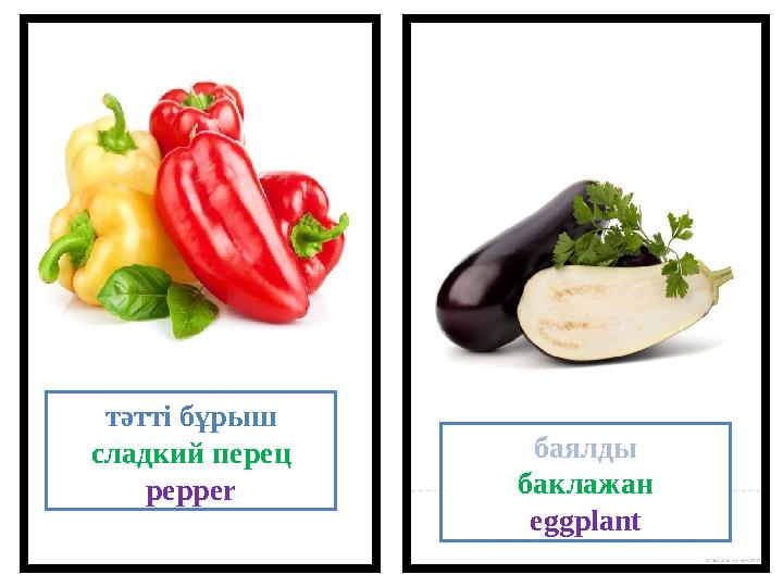 тәтті бұрыш сладки й перец pepper баялды баклажан eggplant