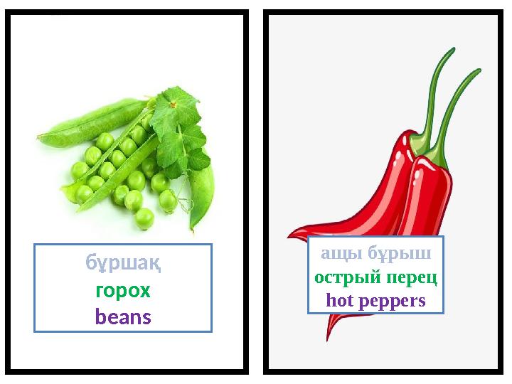 бұршақ горох beans ащы бұрыш острый перец hot peppers