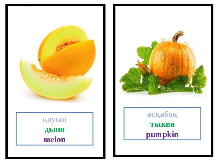 қауын дыня melon асқабақ тыква pumpkin