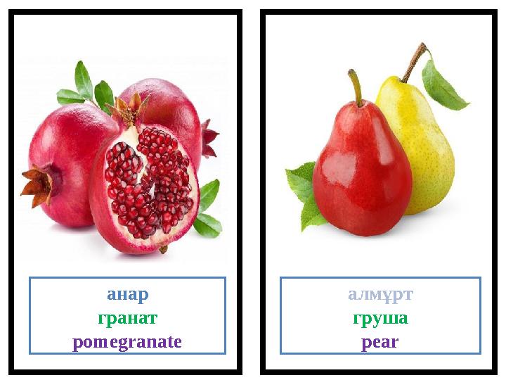 анар гранат pomegranate алмұрт груша pear