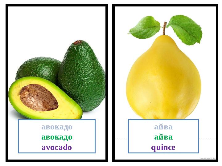 ав о кадо авокадо avocado а йва айва quince