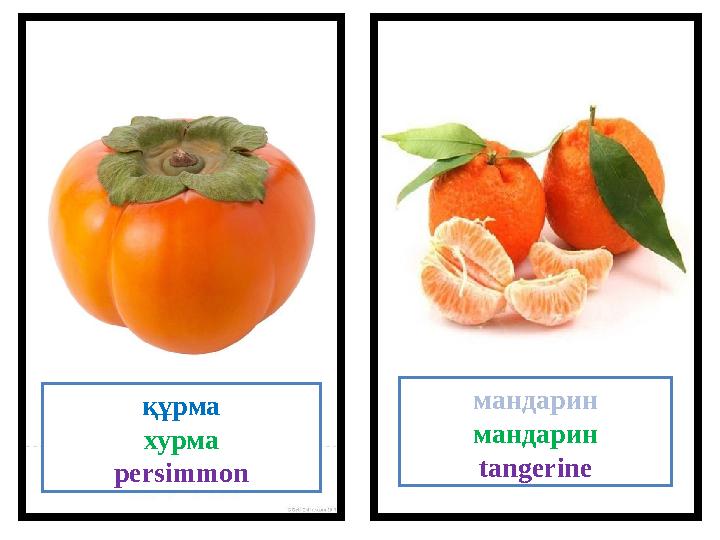 құрма хурма persimmon мандарин мандарин tangerine