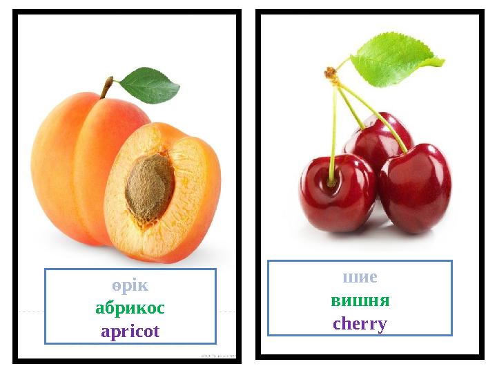 өрік абрикос apricot шие вишня cherry