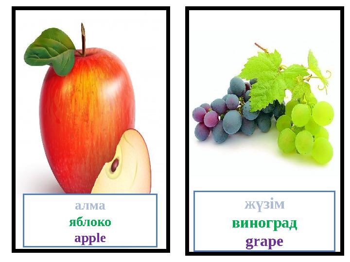 алма яблоко apple жүзім виноград grape