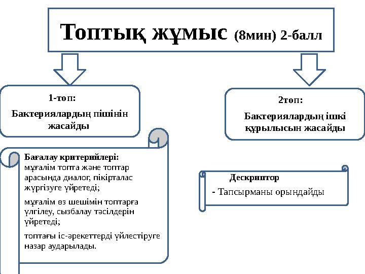 Топтық жұмыс (8мин) 2-балл 1-топ: Бактериялардың пішінін жасайды 2топ: Бактериялардың ішкі құрылыс