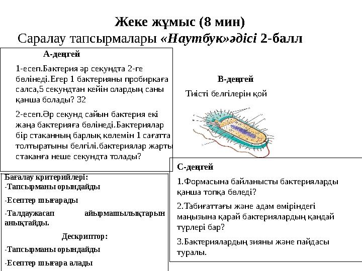 Жеке жұмыс ( 8 мин) Саралау тапсырмалары «Наутбук»әдісі 2-балл А-деңгей 1-есеп.Бактерия әр секундта 2-ге бөлі