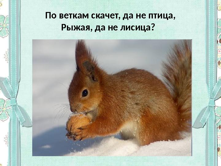 По веткам скачет, да не птица, Рыжая, да не лисица?