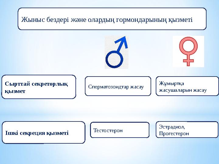 Жыныс бездері және олардың гормондарының қызметі Ішкі секреция қызметі Сырттай секреторлық қызмет Эстрадиол, Прогестерон Сперм