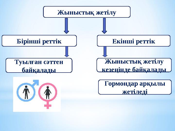 Жыныстық жетілу Бірінші реттік Екінші реттік Туылған сәттен байқалады Жыныстық жетілу кезеңінде байқалады Гормондар арқылы же