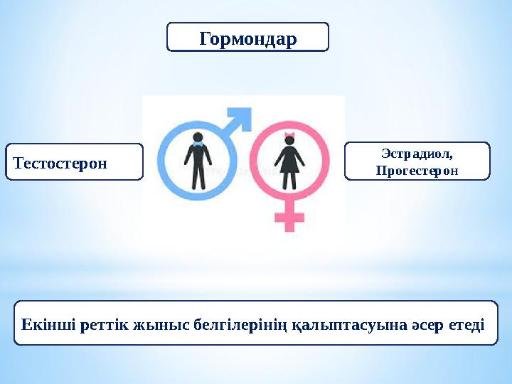 Гормондар Тестостерон Эстрадиол, Прогестерон Екінші реттік жыныс белгілерінің қалыптасуына әсер етеді