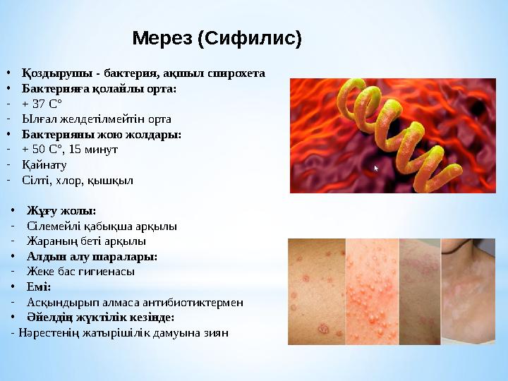 Мерез (Сифилис) •Қоздырушы - бактерия, ақшыл спирохета •Бактерияға қолайлы орта: -+ 37 C° -Ылғал желдетілмейтін орта •Бактерияны