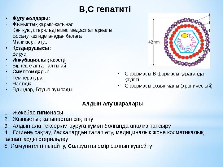 Алдын алу шаралары В,С гепатиті •Жұғу жолдары: -Жыныстық қарым-қатынас -Қан құю, стерильді емес мед.аспап арқылы -Босану кезінде