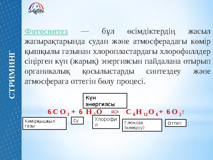 Фотосинтез — бұл өсімдіктердің жасыл жапырақтарында судан және атмосферадағы көмір қышқылы газынан хлоропластардағы хлорофиллд