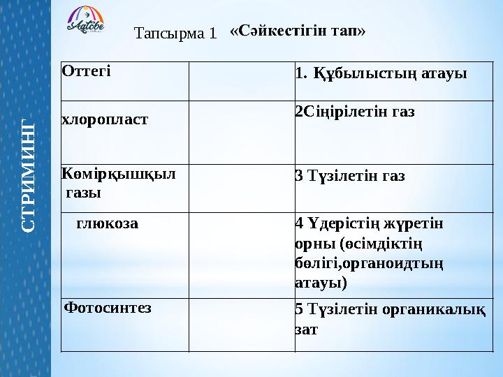 Оттегі 1.Құбылыстың атауы хлоропласт 2Сіңірілетін газ Көмірқышқыл газы 3 Түзілетін газ глюкоза 4 Үдерістің жүретін орн