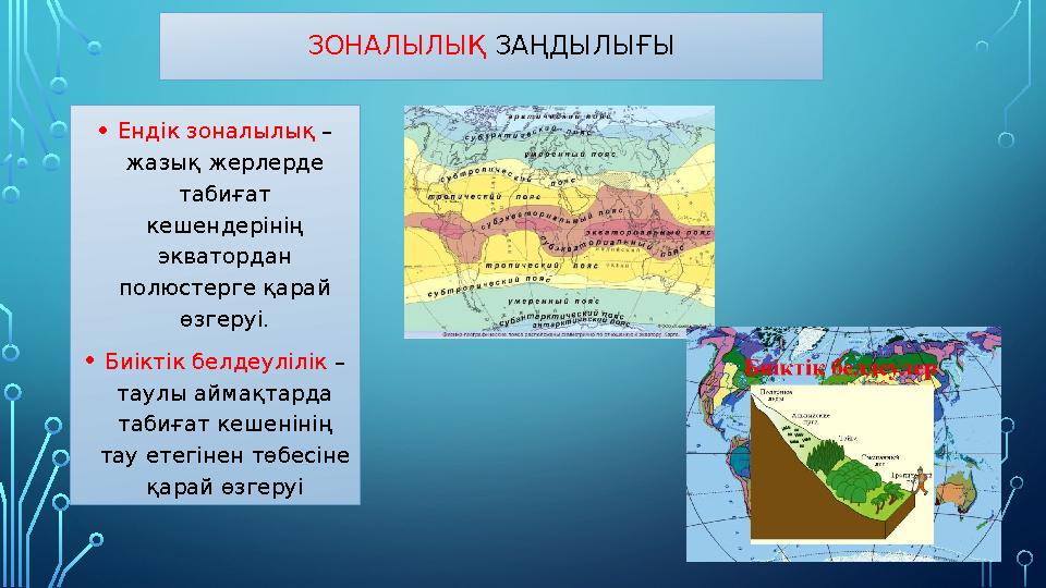 ЗОНАЛЫЛЫҚ ЗАҢДЫЛЫҒЫ •Ендік зоналылық – жазық жерлерде табиғат кешендерінің экватордан полюстерге қарай өзгеруі. •Биіктік