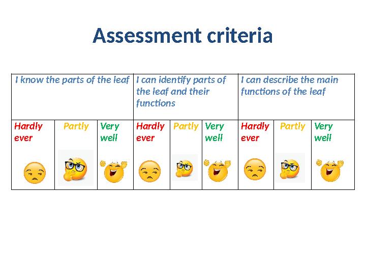 Assessment criteria I know the parts of the leafI can identify parts of the leaf and their functions I can describe the main