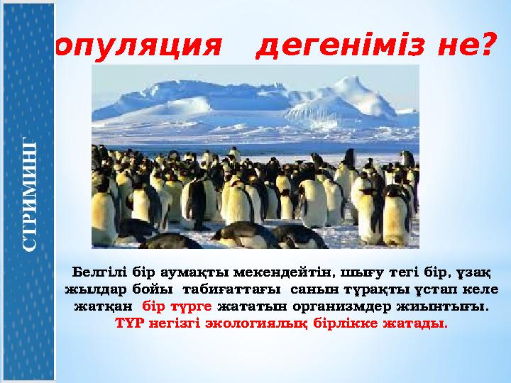 Популяция дегеніміз не? Белгілі бір аумақты мекендейтін, шығу тегі бір, ұзақ жылдар бойы табиғаттағы санын тұрақты ұстап ке