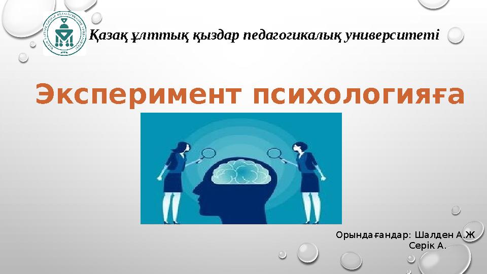 Кішкентай киска және жақсы мүше