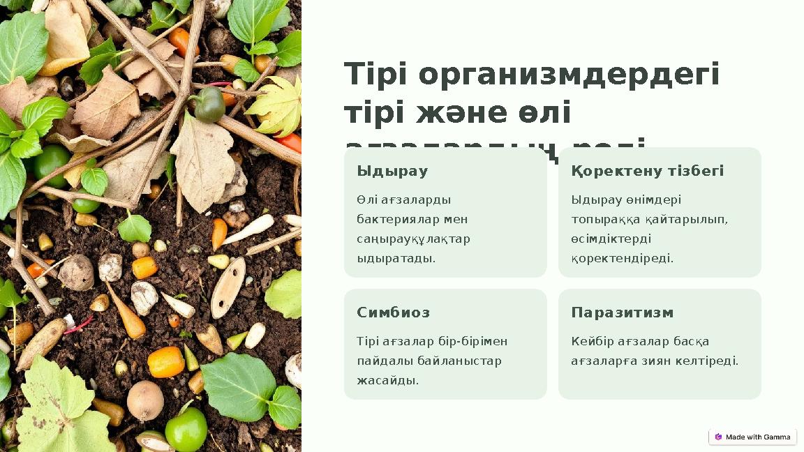 Тірі организмдердегі тірі және өлі ағзалардың рөлі Ыдырау Өлі ағзаларды бактериялар мен саңырауқұлақтар ыдыратады. Қоректен