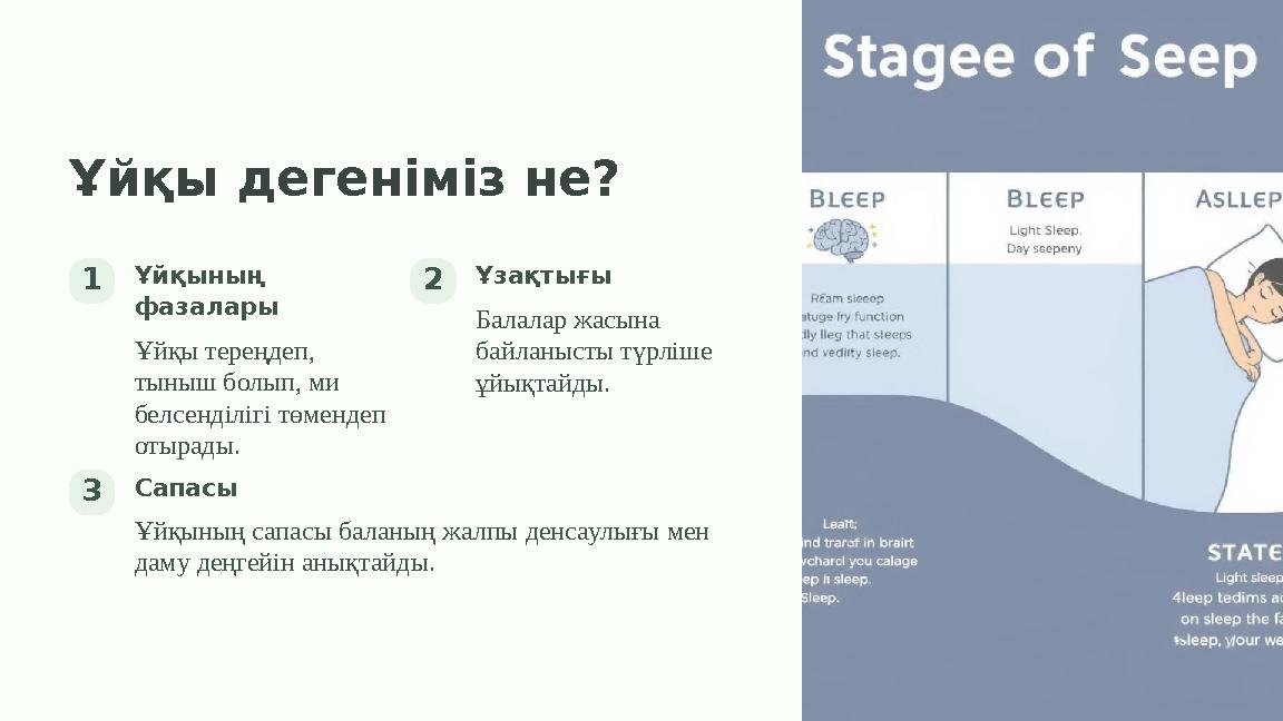 Ұйқы дегеніміз не? 1Ұйқының фазалары Ұйқы тереңдеп, тыныш болып, ми белсенділігі төмендеп отырады. 2Ұзақтығы Балалар жасына