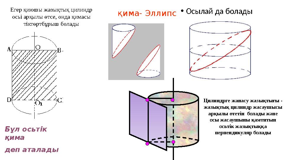Егер қиюшы жазықтық цилиндр осьі арқылы өтсе, онда қимасы тіктөртбұрыш болады Бұл осьтік қима деп аталады қима- Эллипс •Осыл