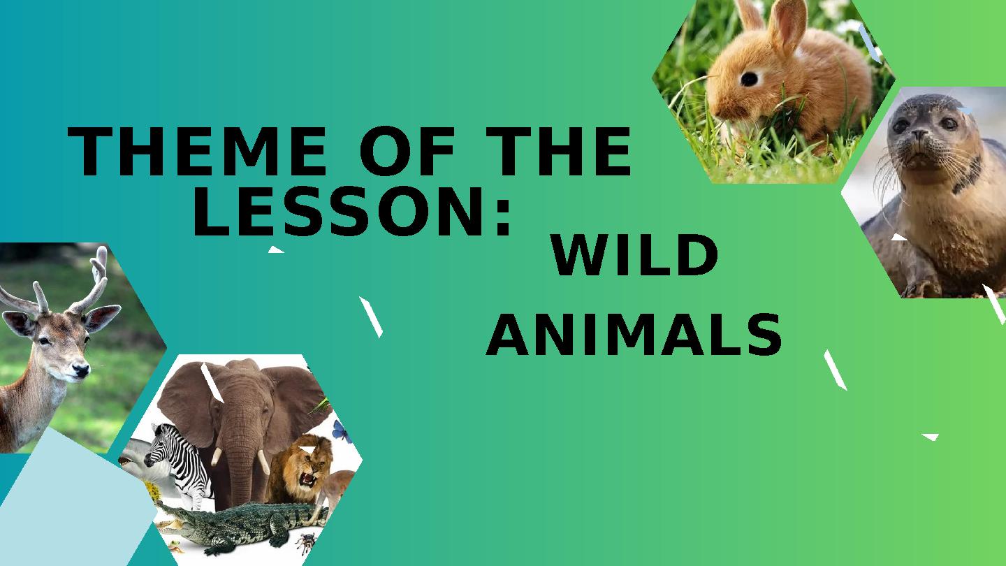 THEME OF THE LESSON: WILD ANIMALS