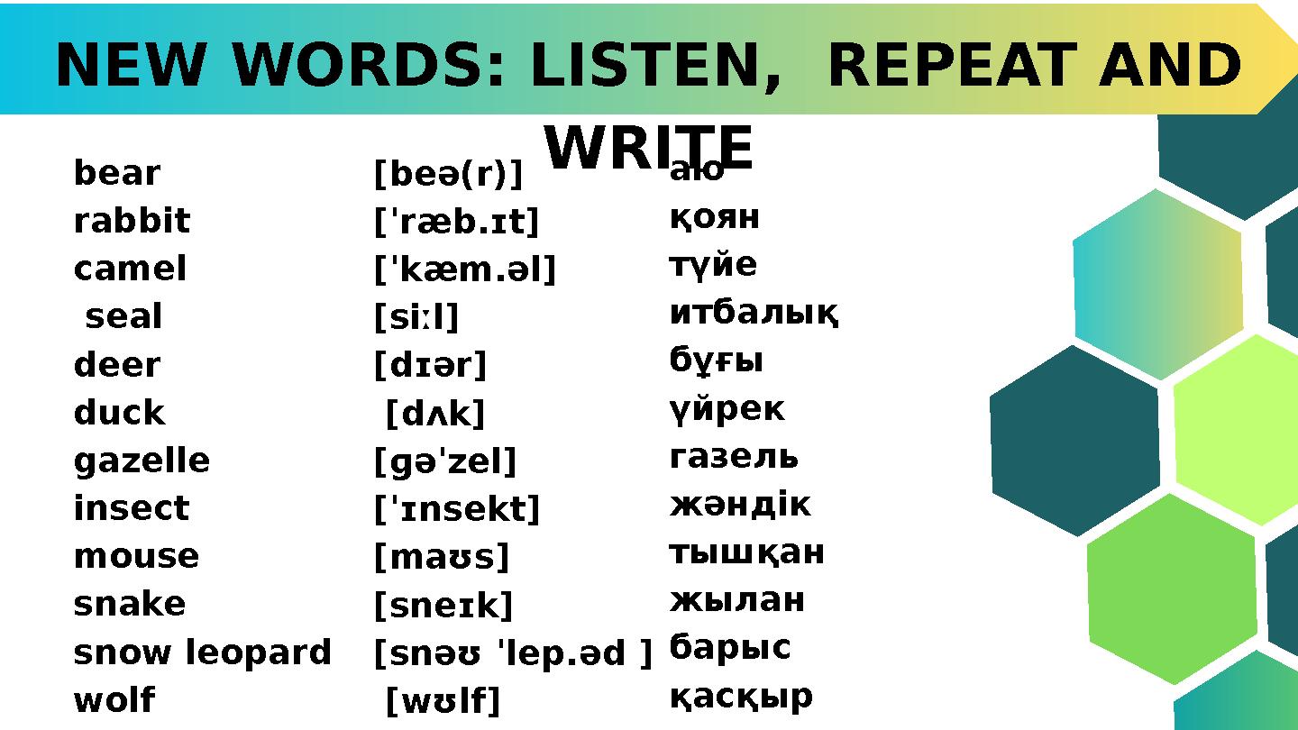 NEW WORDS: LISTEN, REPEAT AND WRITE bear rabbit camel seal deer duck gazelle insect mouse snake snow leopard wolf аю қо