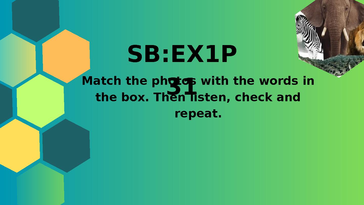 SB:EX1P 31 Match the photos with the words in the box. Then listen, check and repeat.