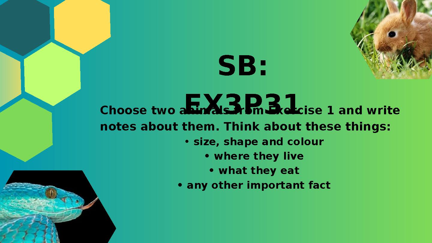 SB: EX3P31Choose two animals from Exercise 1 and write notes about them. Think about these things: • size, shape and colour •