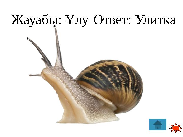 Ответ: УлиткаЖауабы: Ұлу