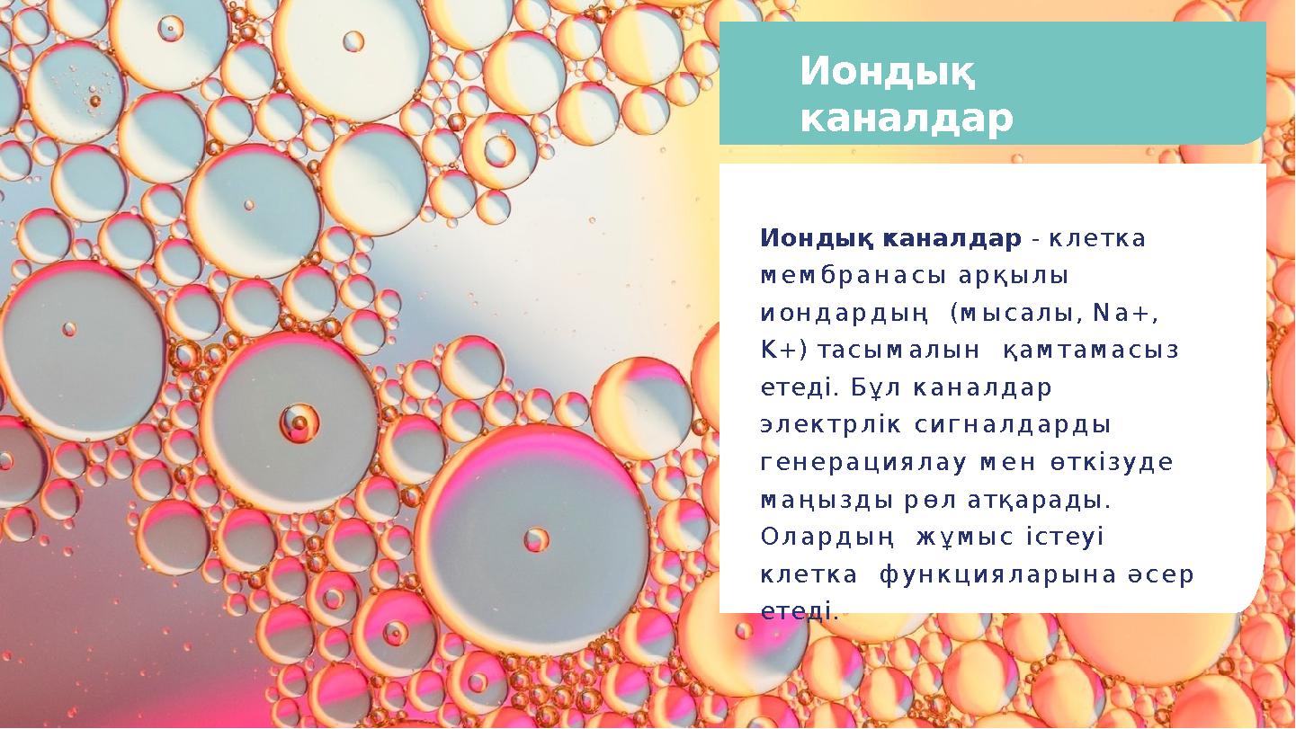 Иондық каналдар Иондық каналдар - клетка мембранасы арқылы иондардың (мысалы, Na+, K+) тасымалын қамтамасыз етеді. Бұл ка