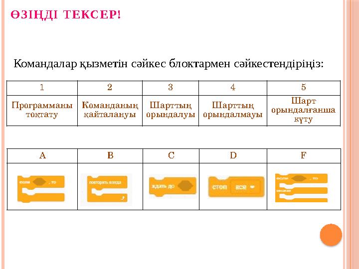 Командалар қызметін сәйкес блоктармен сәйкестендіріңіз: 1 2 3 4 5 Программаны тоқтату Команданың қайталануы Шарттың орынд