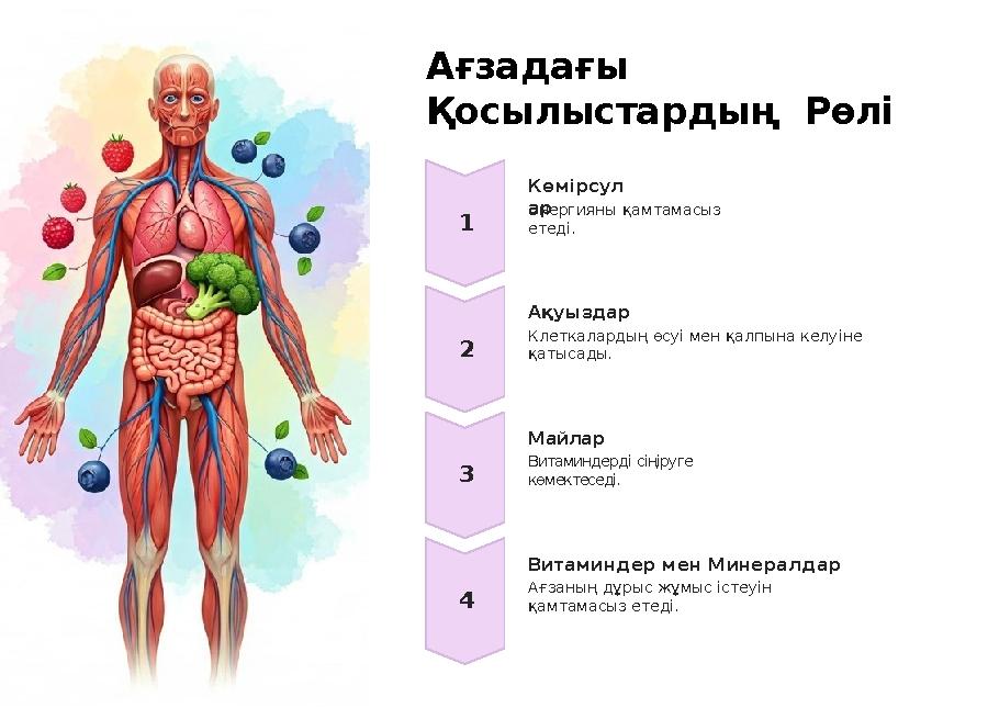 Ағзадағы Қосылыстардың Рөлі 1 2 3 4 Майлар Витаминдерді сіңіруге көмектеседі. Ақуыздар Клеткалардың өсуі мен қалпына келуіне
