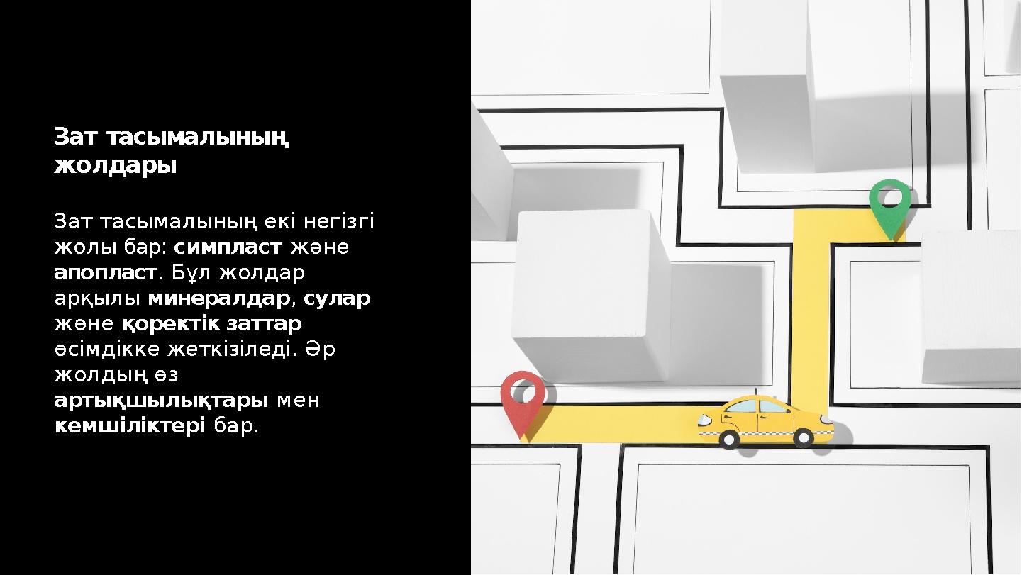 Зат тасымалының екі негізгі жолы бар: симпласт және апопласт. Бұл жолдар арқылы минералдар, сулар және қоректік заттар өсім