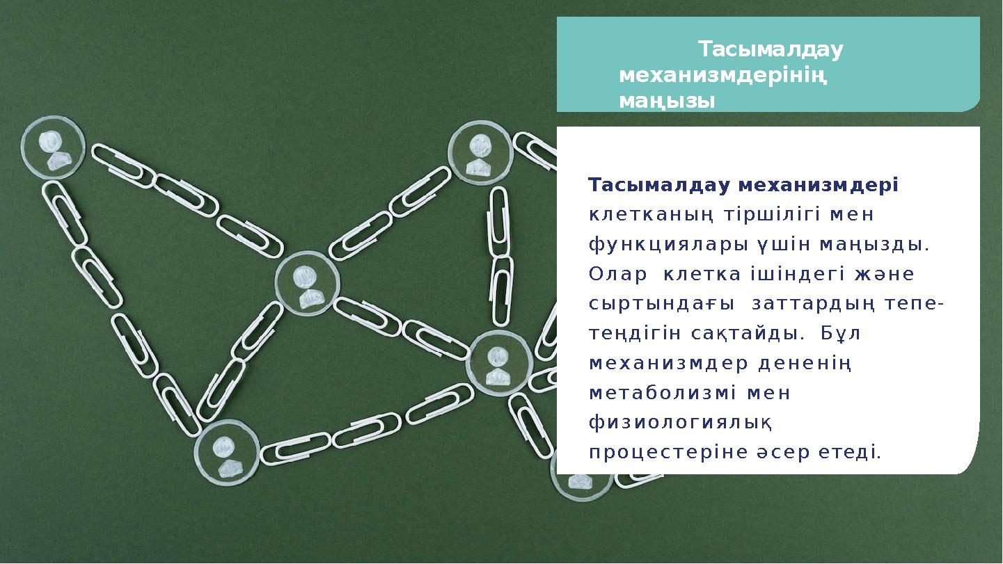 Тасымалдау механизмдерінің маңызы Тасымалдау механизмдері клетканың тіршілігі мен функциялары үшін маңызды. Олар клетка