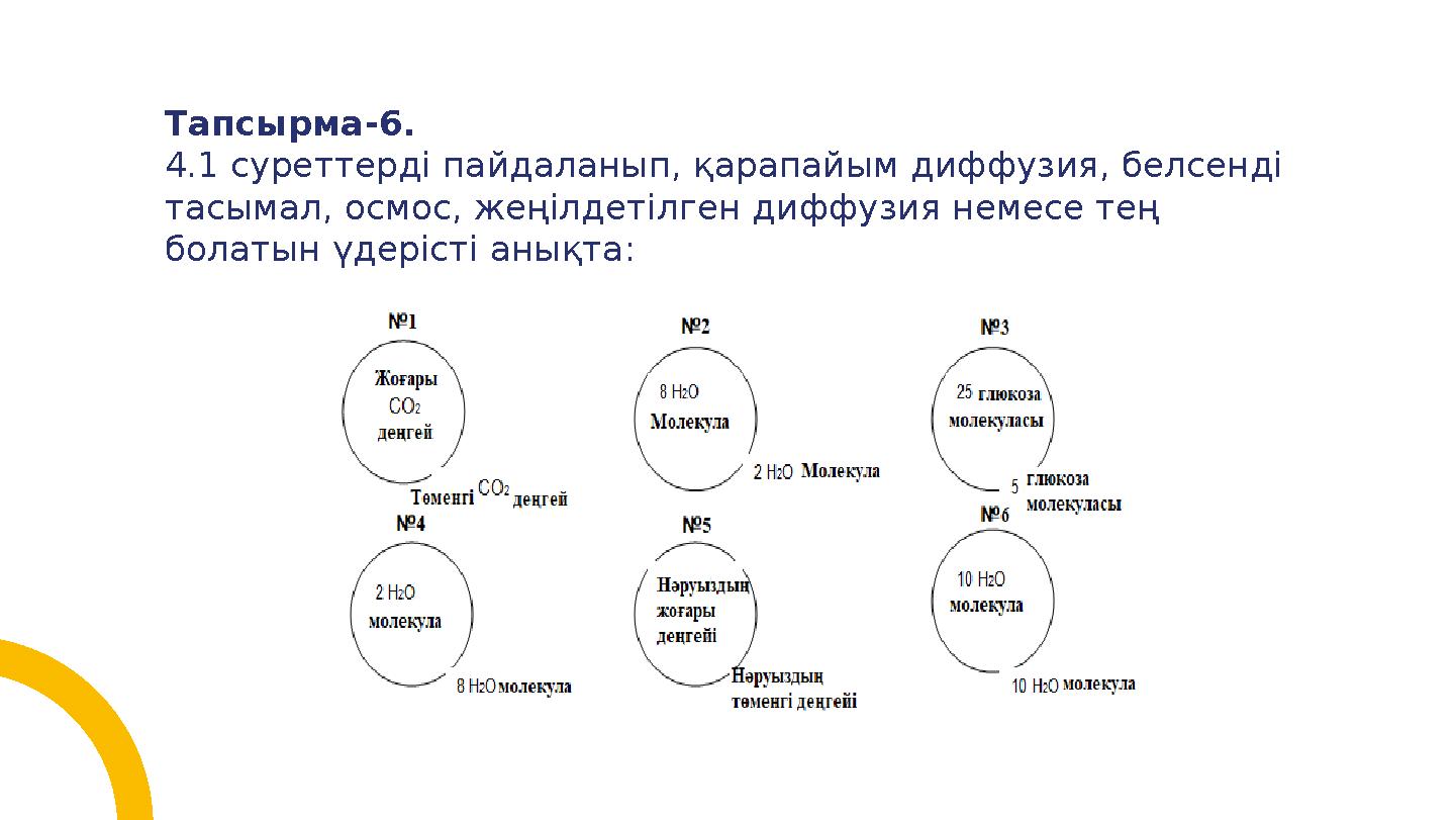 Тапсырма-6. 4.1 суреттерді пайдаланып, қарапайым диффузия, белсенді тасымал, осмос, жеңілдетілген диффузия немесе тең болатын