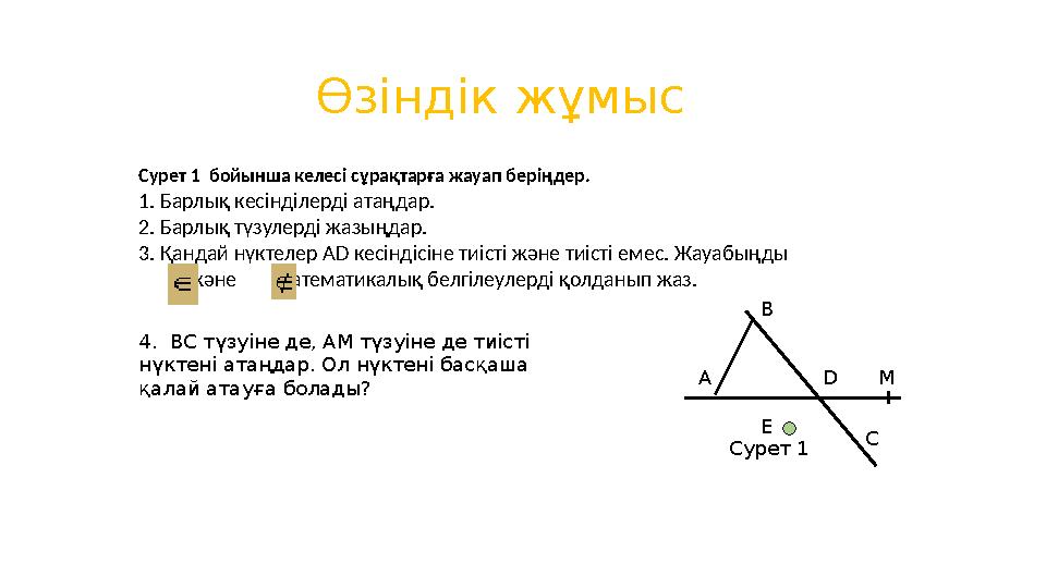 Өзіндік жұмыс Сурет 1 бойынша келесі сұрақтарға жауап беріңдер. 1. Барлық кесінділерді атаңдар. 2. Барлық түзулер