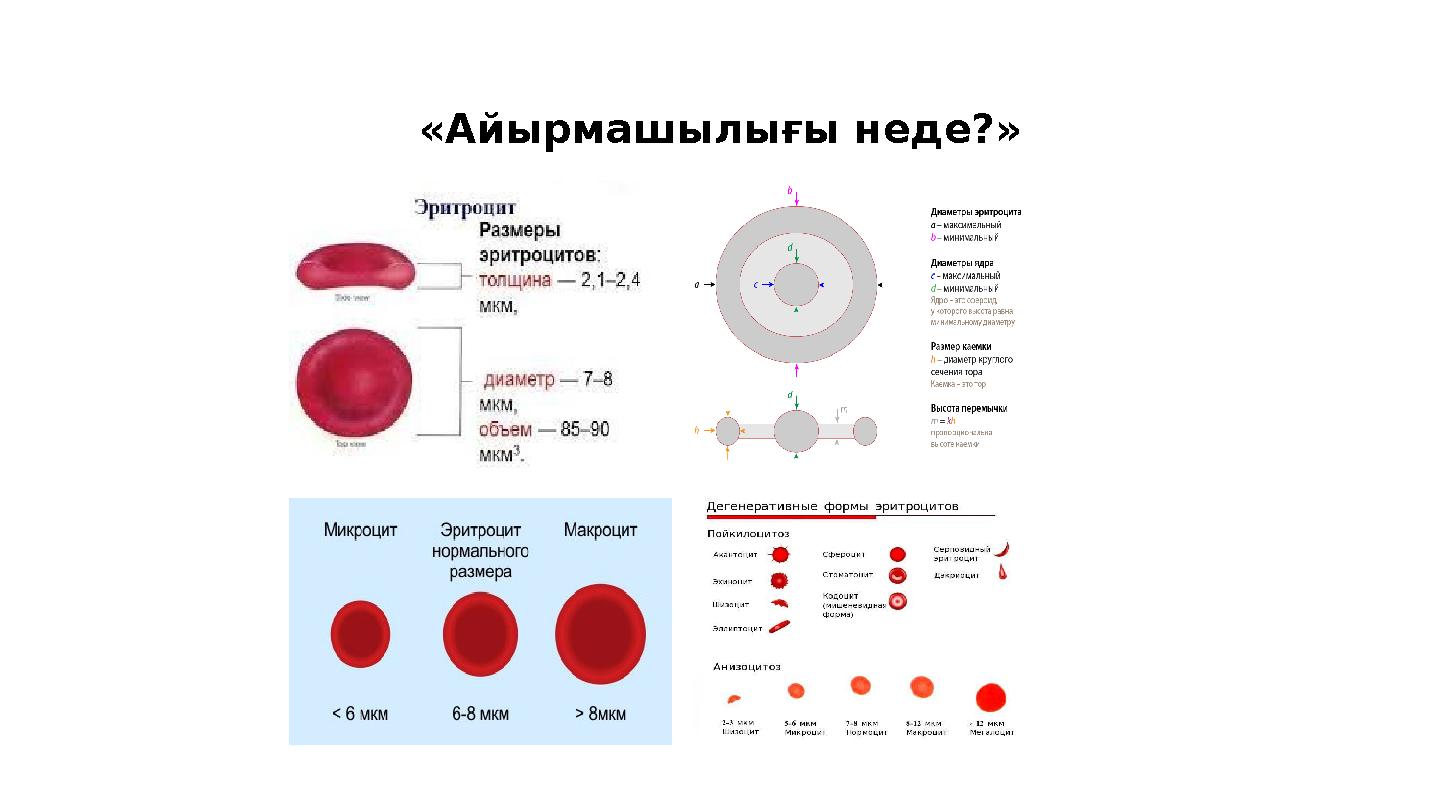 «Айырмашылығы неде?»