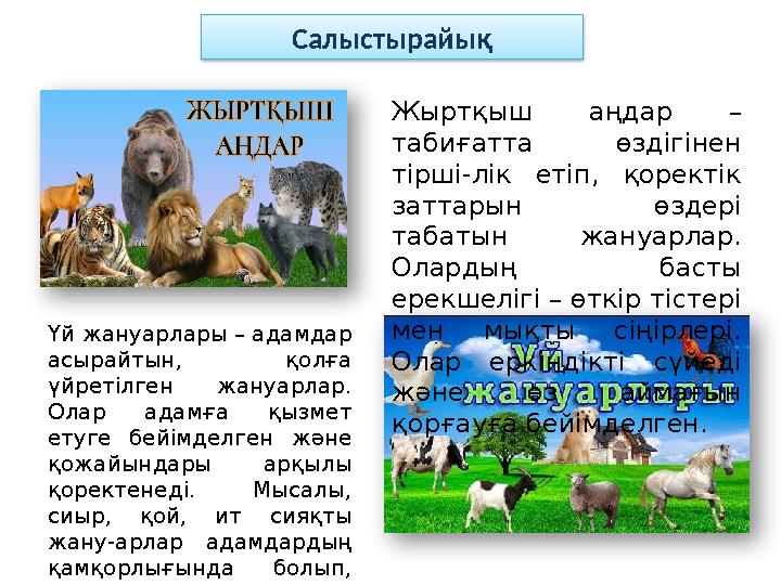 Салыстырайық Жыртқыш аңдар – табиғатта өздігінен тірші-лік етіп, қоректік заттарын өздері табатын жануарлар. Олардың бас