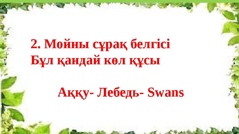 2. Мойны сұрақ белгісі Бұл қандай көл құсы Аққу- Лебедь- Swans