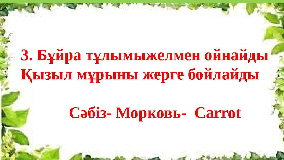 3. Бұйра тұлымыжелмен ойнайды Қызыл мұрыны жерге бойлайды Сәбіз- Морковь- Carrot