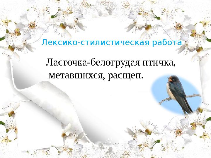 Лексико-стилистическая работа Ласточка-белогрудая птичка, метавшихся, расщеп.