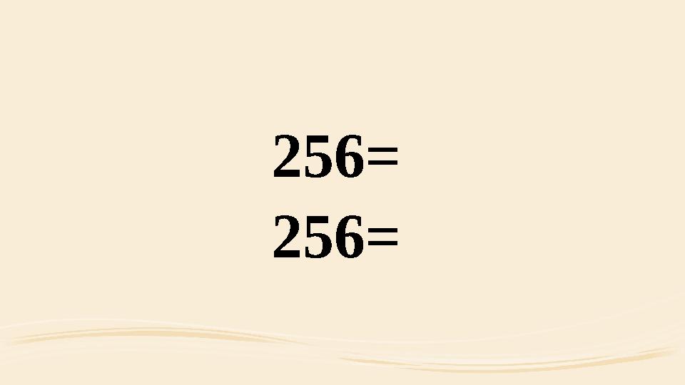 256= 256=