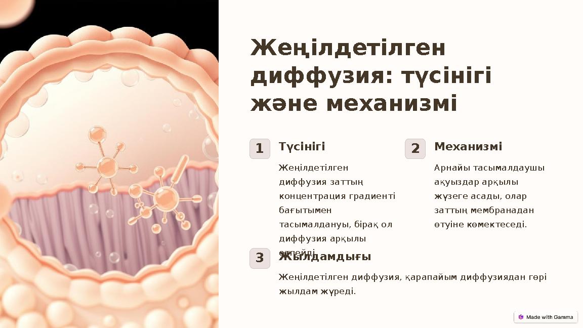 Жеңілдетілген диффузия: түсінігі және механизмі 1Түсінігі Жеңілдетілген диффузия заттың концентрация градиенті бағытымен т