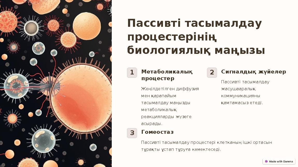 Пассивті тасымалдау процестерінің биологиялық маңызы 1Метаболикалық процестер Жеңілдетілген диффузия мен қарапайым тасымалд