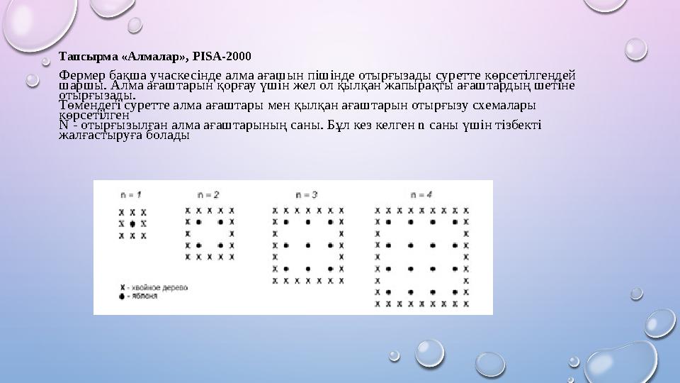 Тапсырма «Алмалар», PISA-2000 Фермер бақша учаскесінде алма ағашын пішінде отырғызады суретте көрсетілгендей шаршы. Алма ағашт