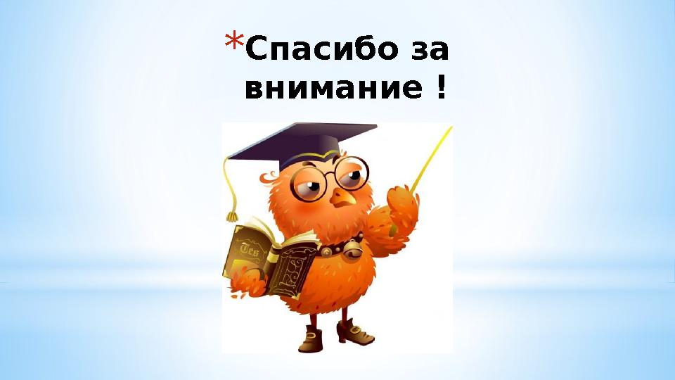 *Спасибо за внимание !
