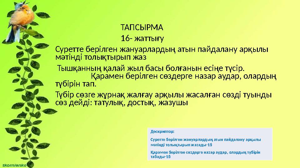 ТАПСЫРМА 16- жаттығу